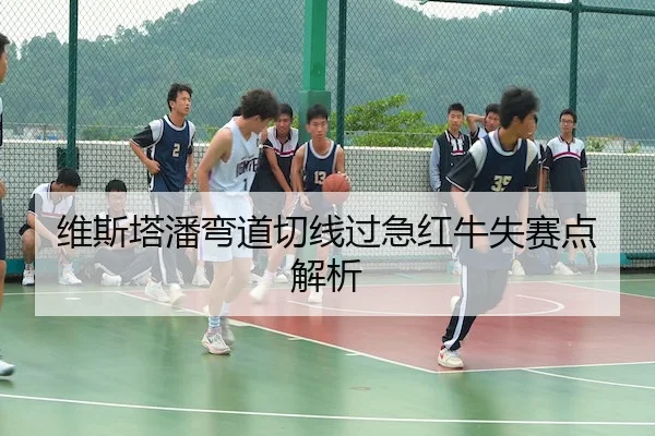 维斯塔潘弯道切线过急红牛失赛点解析 | BBIN